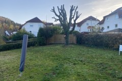 eax-gartenlandschaftsbau-zaun-doppelstabmatten-sichtschutz-garten-31-Klein