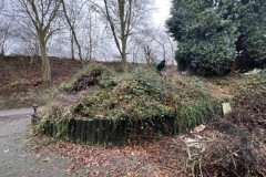 eax-gartenlandschaftsbau-zaun-doppelstabmatten-sichtschutz-garten-69-Klein
